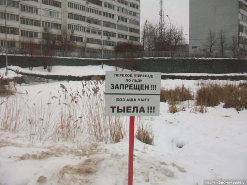 Наше озеро зимой — Игровые куклы разных производителей (Разное): редкие бренды (фото 8)