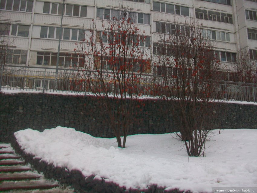 Наше озеро зимой — Игровые куклы разных производителей (Разное): редкие бренды