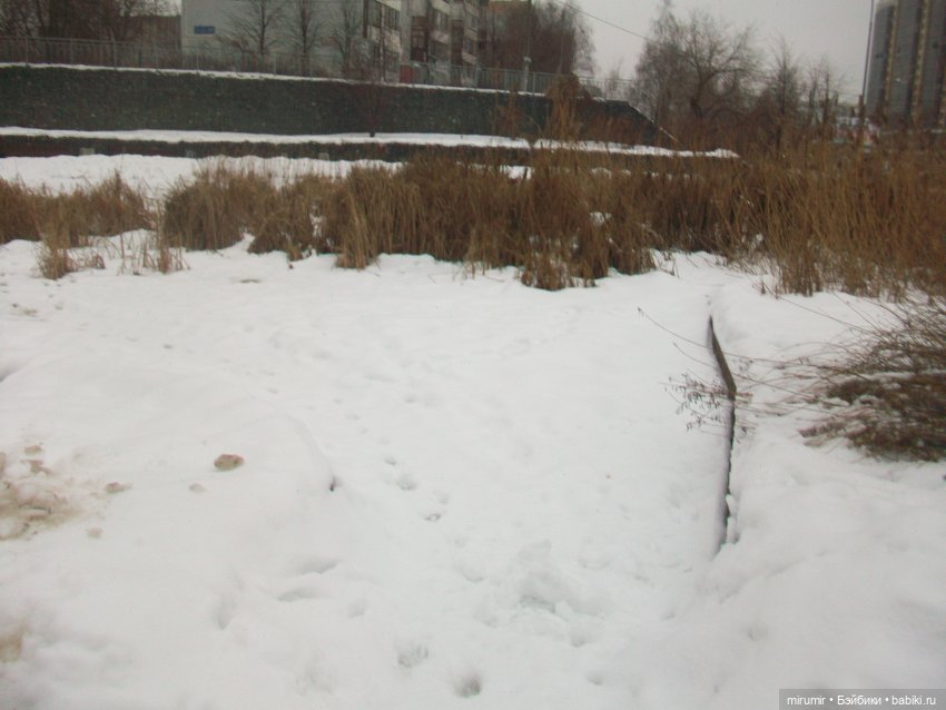 Наше озеро зимой — Игровые куклы разных производителей (Разное): редкие бренды (фото 7)