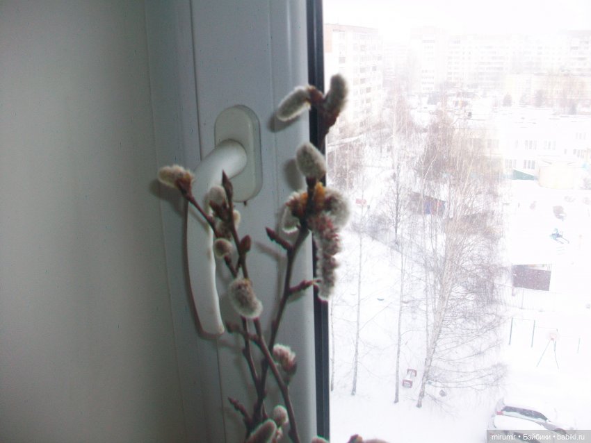 С праздником Сретения — Игровые куклы разных производителей (Разное): редкие бренды