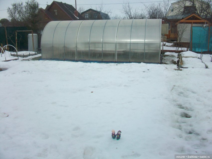 Мартовская поездка на дачу (фото 5)