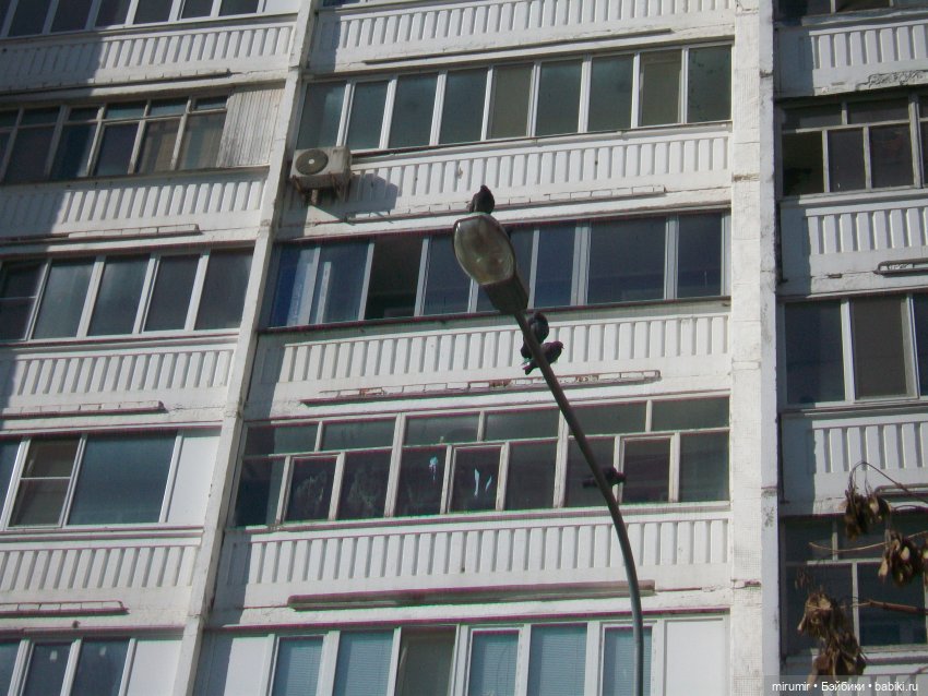 Мартовские прогулки - 2 — Игровые куклы разных производителей (Разное): редкие бренды