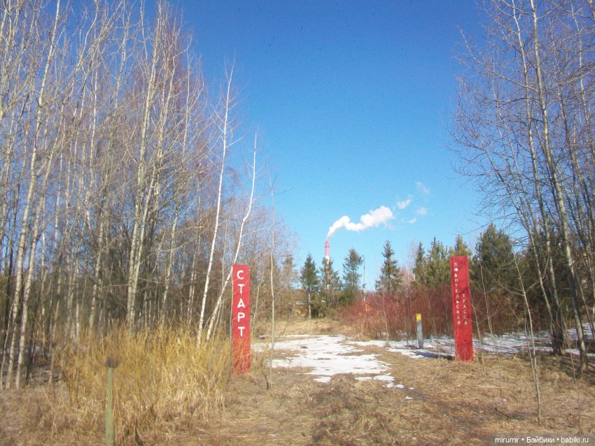 Мартовские прогулки - 2 — Игровые куклы разных производителей (Разное): редкие бренды (фото 5)