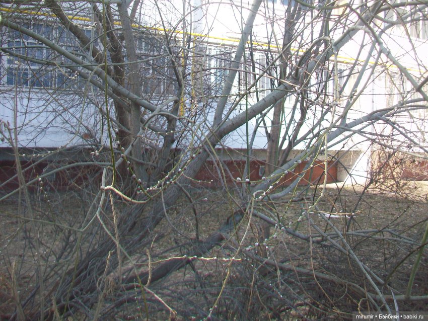 Мартовские прогулки - 2 — Игровые куклы разных производителей (Разное): редкие бренды