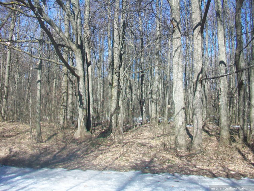 Мартовские прогулки - 2 — Игровые куклы разных производителей (Разное): редкие бренды