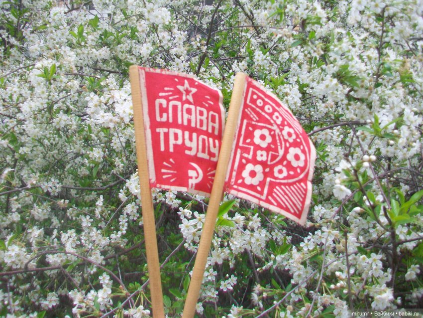 Сегодня Первомай — Игровые куклы разных производителей (Разное): редкие бренды (фото 5)