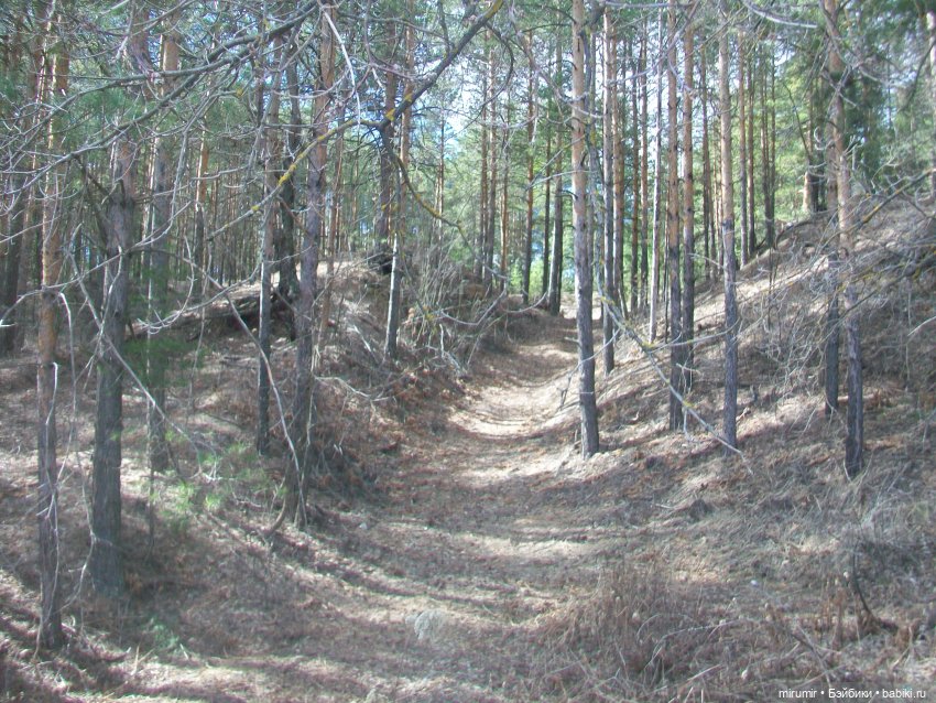 Апрельские прогулки — Игровые куклы разных производителей (Разное): редкие бренды (фото 3)