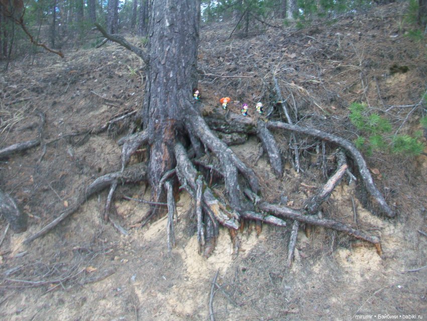 Апрельские прогулки — Игровые куклы разных производителей (Разное): редкие бренды (фото 7)