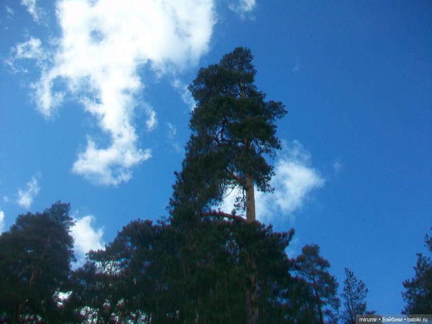 Апрельские прогулки — Игровые куклы разных производителей (Разное): редкие бренды