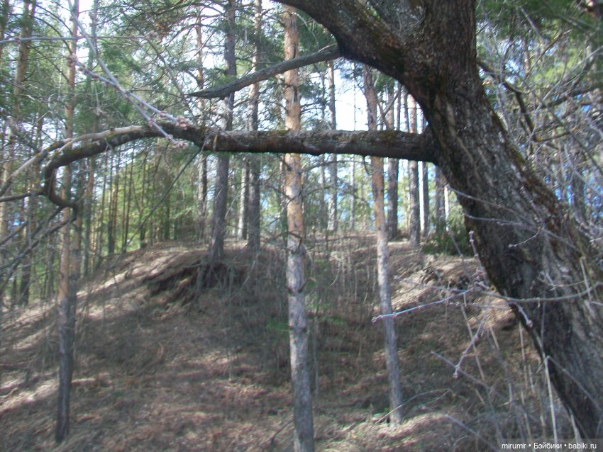 Апрельские прогулки — Игровые куклы разных производителей (Разное): редкие бренды (фото 4)