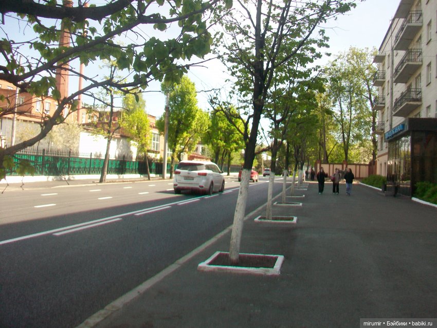 Сегодня День Пионерии — Туризм и путешествия: фотоотчеты из поездок