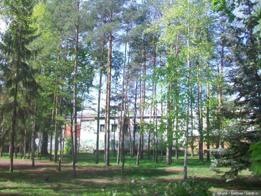 Сегодня День Пионерии — Туризм и путешествия: фотоотчеты из поездок