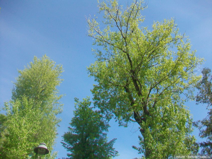 Сегодня День Пионерии — Туризм и путешествия: фотоотчеты из поездок