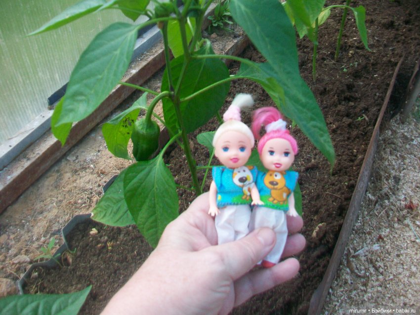 Майская поездка на дачу — Игровые куклы разных производителей (Разное): редкие бренды