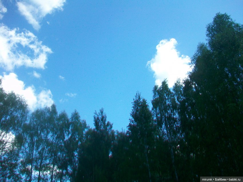 Майская поездка на дачу — Игровые куклы разных производителей (Разное): редкие бренды (фото 2)