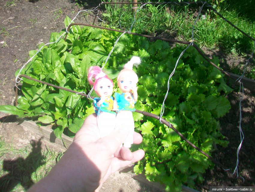 Майская поездка на дачу — Игровые куклы разных производителей (Разное): редкие бренды