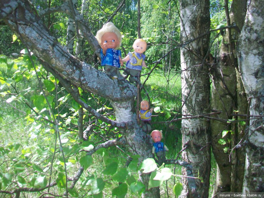 Майская поездка на дачу — Игровые куклы разных производителей (Разное): редкие бренды (фото 5)