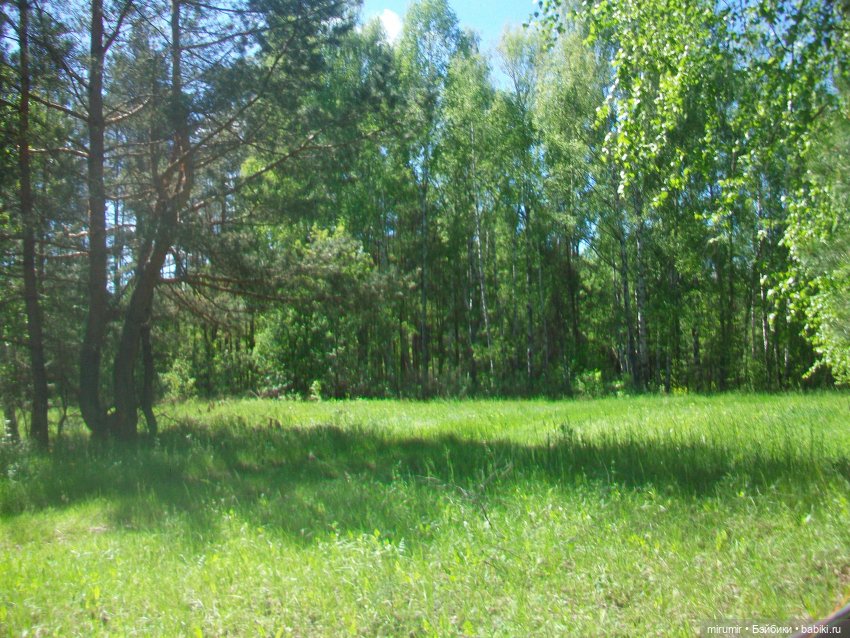 Майская поездка на дачу — Игровые куклы разных производителей (Разное): редкие бренды (фото 3)