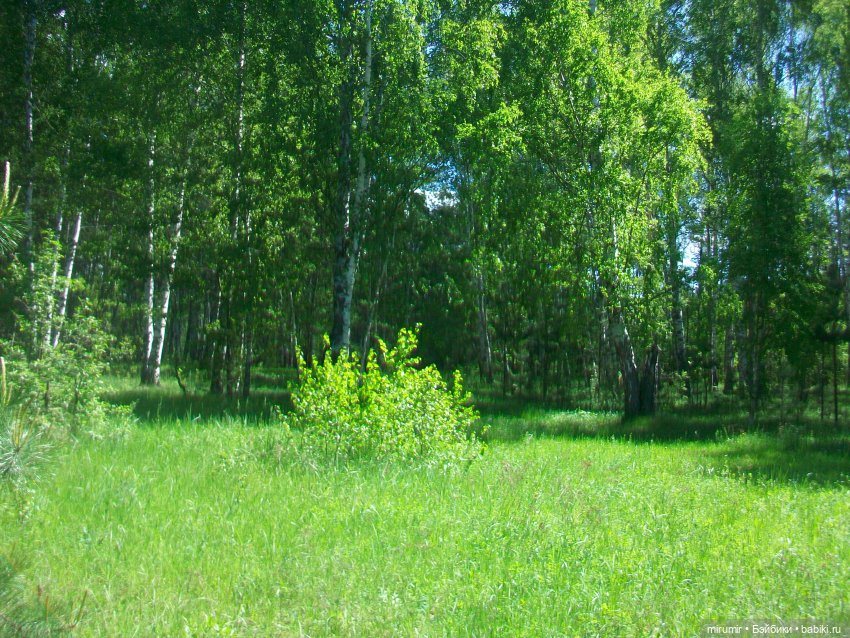 Майская поездка на дачу — Игровые куклы разных производителей (Разное): редкие бренды