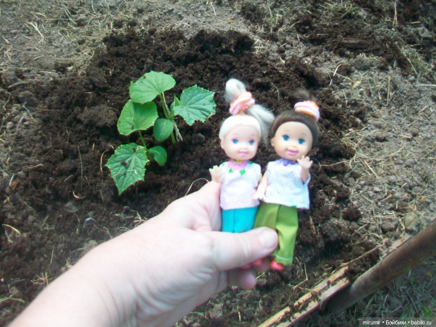 Майская поездка на дачу — Игровые куклы разных производителей (Разное): редкие бренды