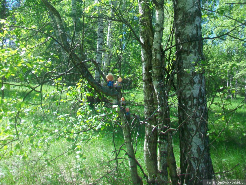 Майская поездка на дачу — Игровые куклы разных производителей (Разное): редкие бренды (фото 4)