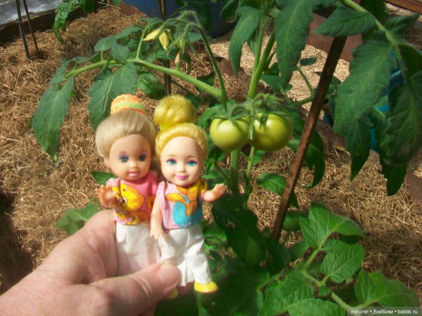 Майская поездка на дачу — Игровые куклы разных производителей (Разное): редкие бренды