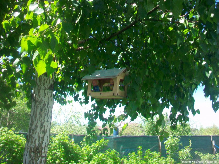 Майская поездка на дачу — Игровые куклы разных производителей (Разное): редкие бренды (фото 7)