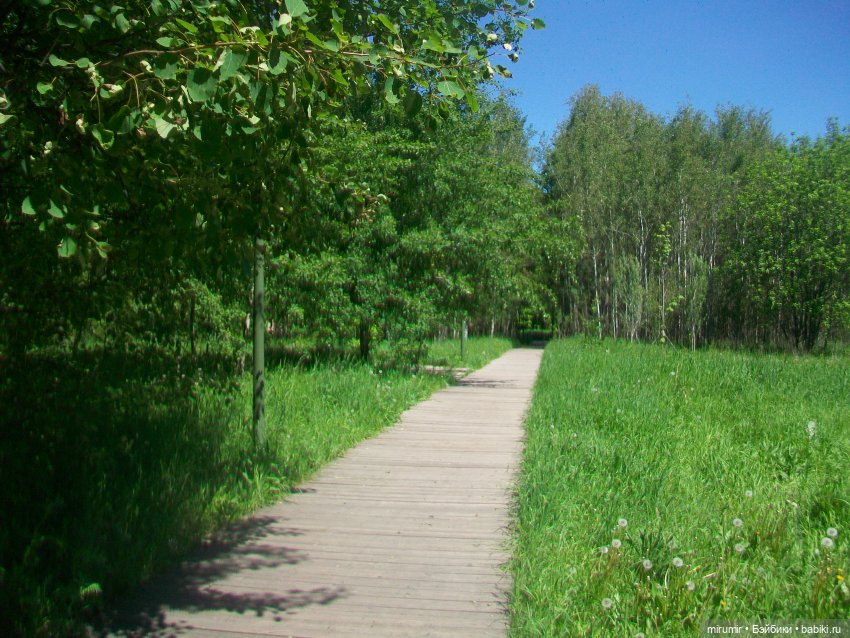 Майская прогулка — Игровые куклы разных производителей (Разное): редкие бренды