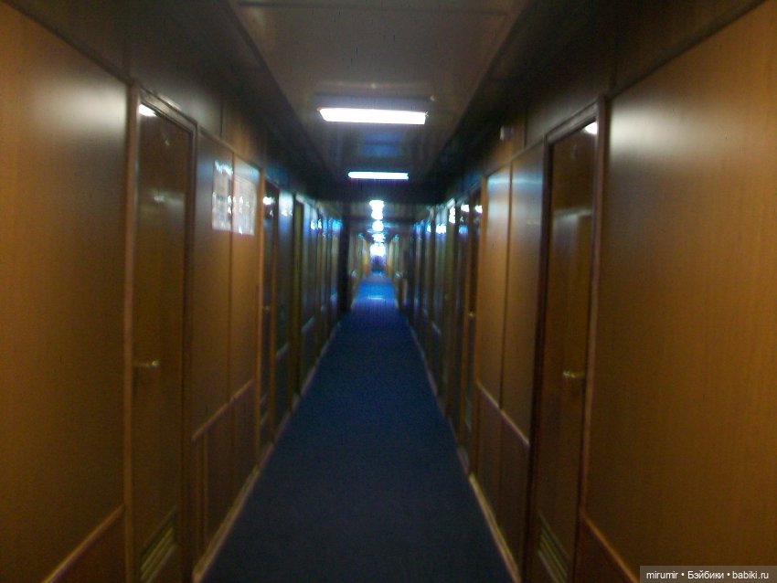 Еще один волжский круиз - 2025