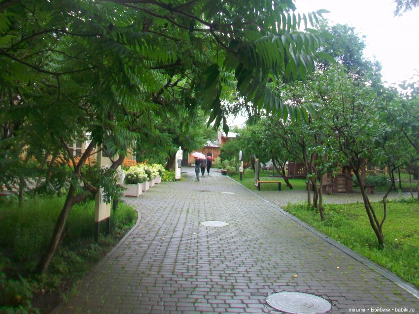 Самара - 2025 — Игровые куклы разных производителей (Разное): редкие бренды