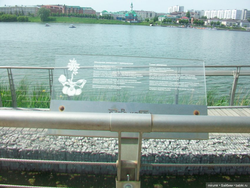 Озеро Кабан в первый день июня