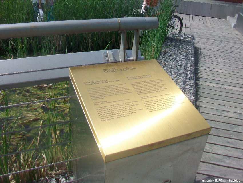 Озеро Кабан в первый день июня (фото 8)