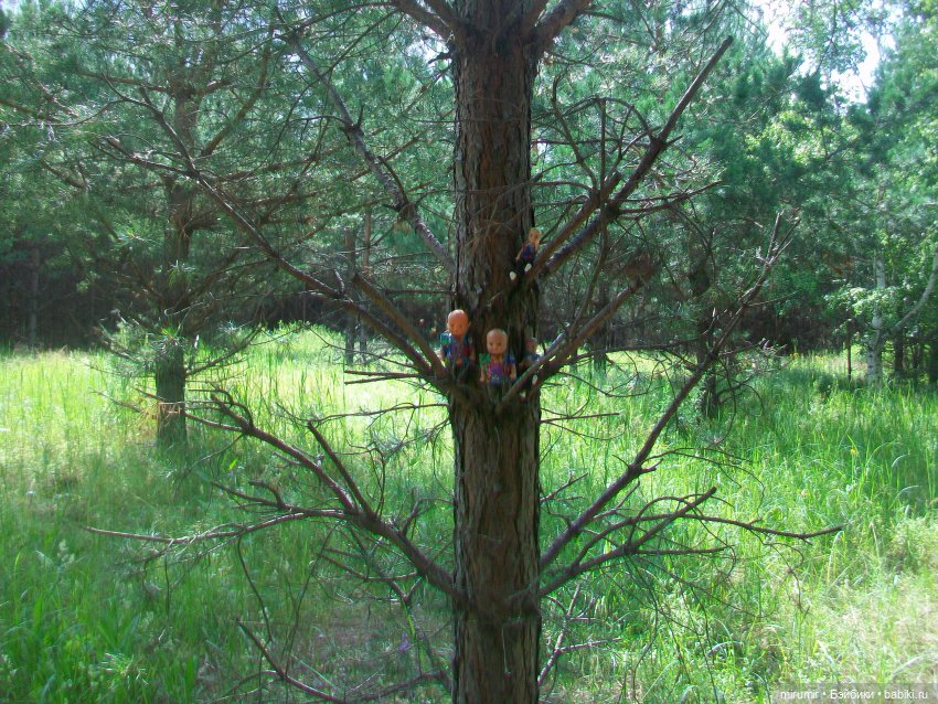 Июньская поездка на дачу — Игровые куклы разных производителей (Разное): редкие бренды (фото 7)