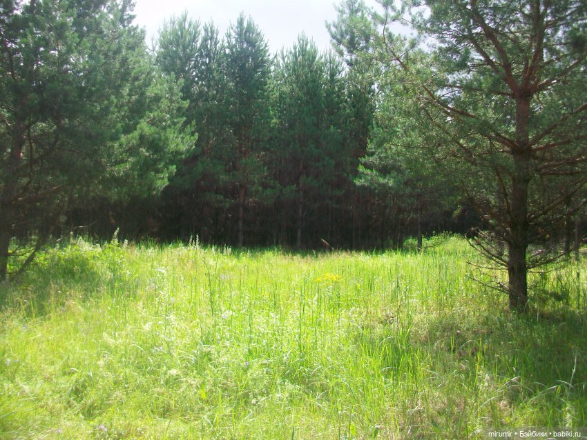 Июньская поездка на дачу — Игровые куклы разных производителей (Разное): редкие бренды