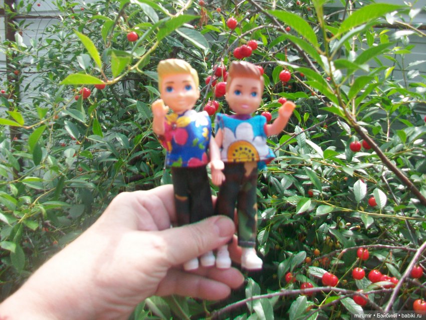 Июньская поездка на дачу — Игровые куклы разных производителей (Разное): редкие бренды