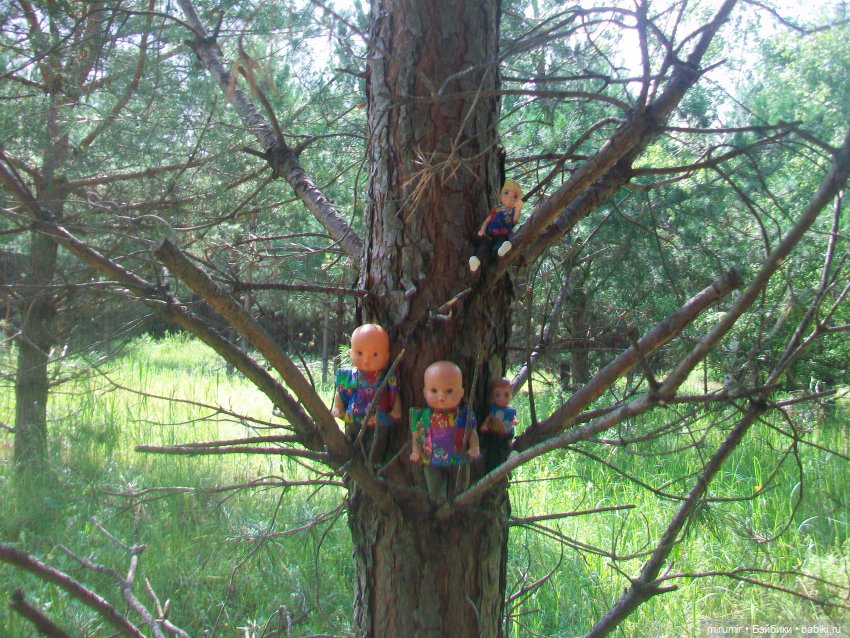 Июньская поездка на дачу — Игровые куклы разных производителей (Разное): редкие бренды (фото 8)