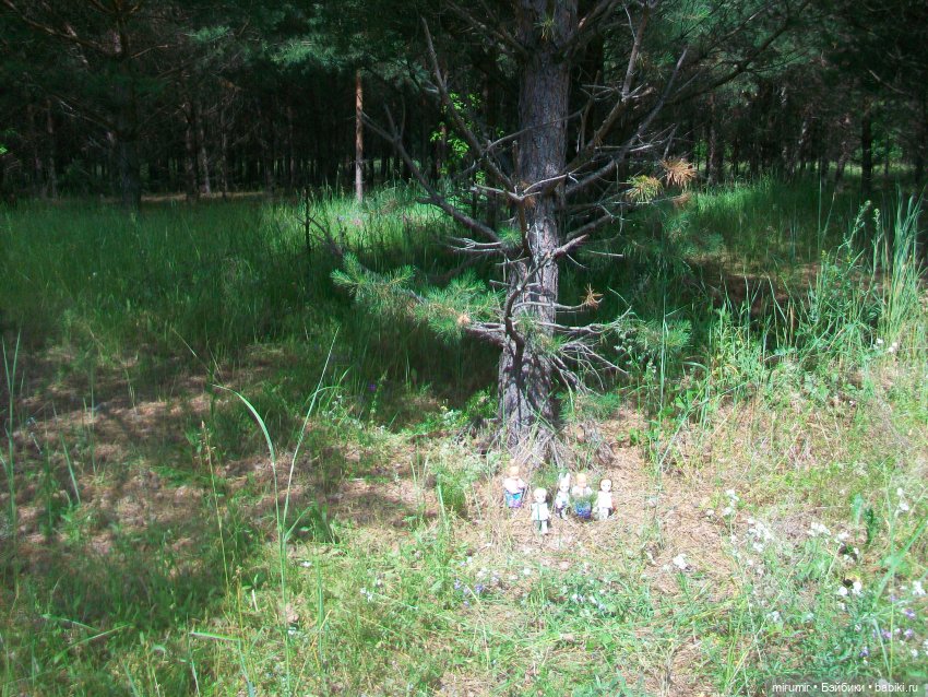 Июньская поездка на дачу — Игровые куклы разных производителей (Разное): редкие бренды (фото 5)