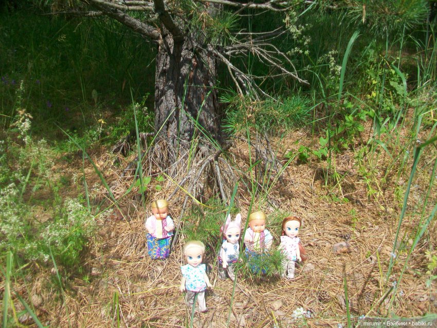 Июньская поездка на дачу — Игровые куклы разных производителей (Разное): редкие бренды (фото 6)