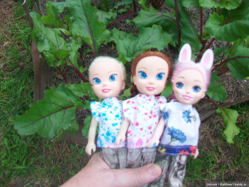 Июньская поездка на дачу — Игровые куклы разных производителей (Разное): редкие бренды