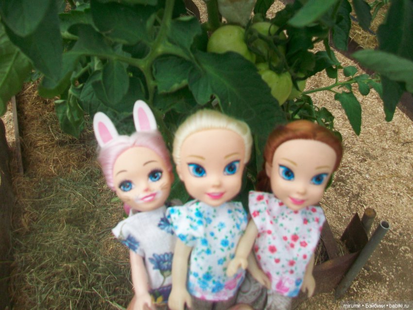 Июньская поездка на дачу — Игровые куклы разных производителей (Разное): редкие бренды