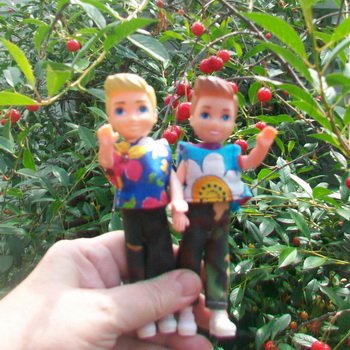 Июньская поездка на дачу