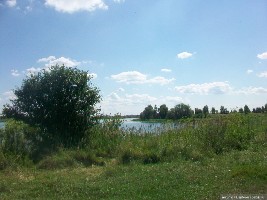 Июльская поездка на дачу — Игровые куклы разных производителей (Разное): редкие бренды