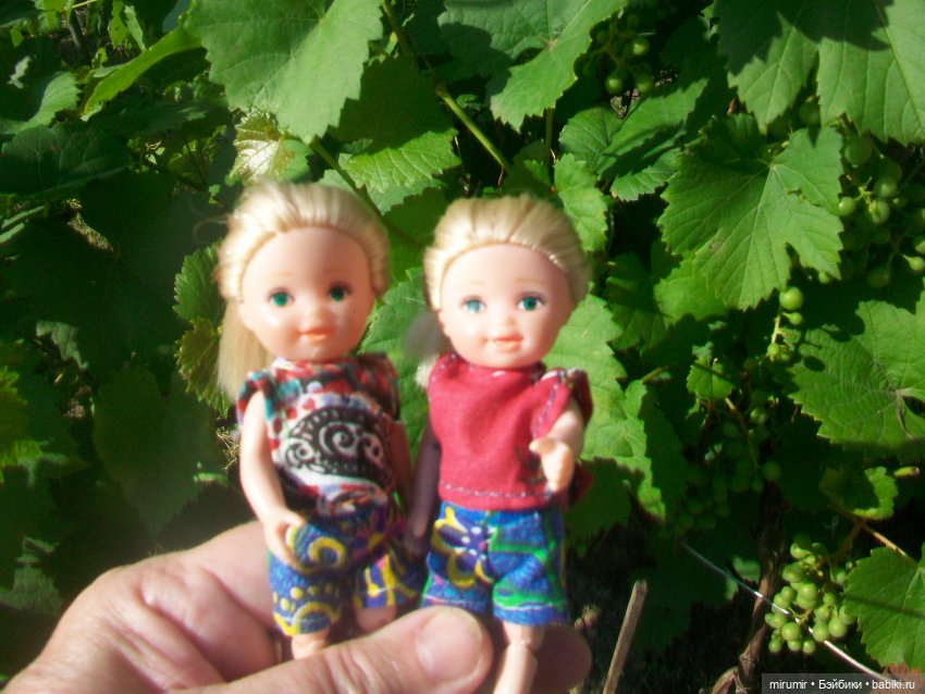 Июльская поездка на дачу — Игровые куклы разных производителей (Разное): редкие бренды