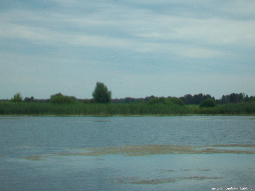 Июльская поездка на дачу — Игровые куклы разных производителей (Разное): редкие бренды (фото 9)