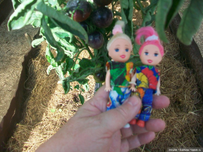Июльская поездка на дачу — Игровые куклы разных производителей (Разное): редкие бренды