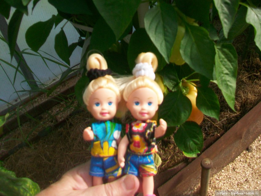 Июльская поездка на дачу — Игровые куклы разных производителей (Разное): редкие бренды