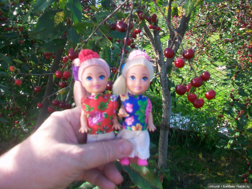Июльская поездка на дачу — Игровые куклы разных производителей (Разное): редкие бренды