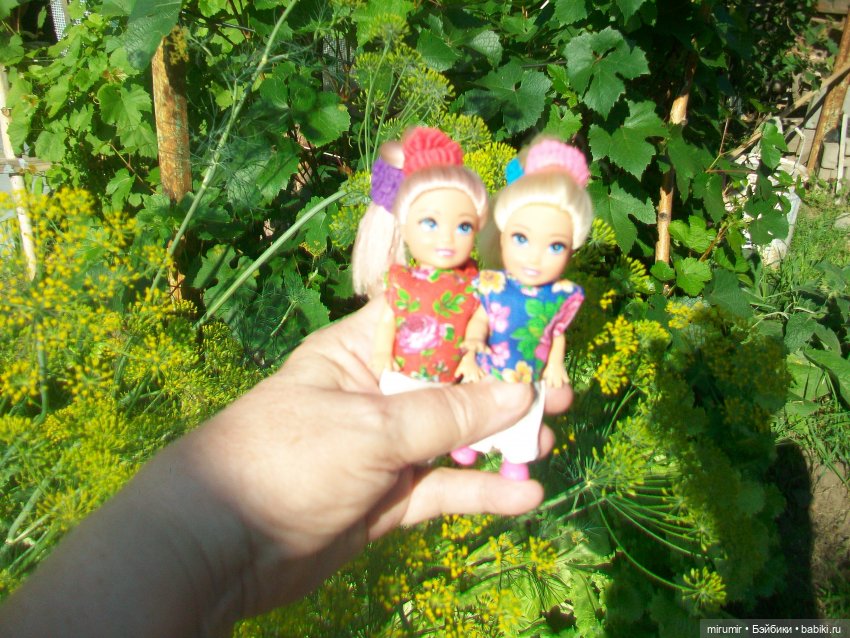 Июльская поездка на дачу — Игровые куклы разных производителей (Разное): редкие бренды