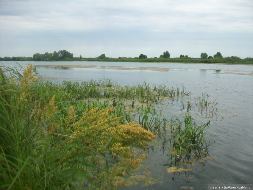 Июльская поездка на дачу — Игровые куклы разных производителей (Разное): редкие бренды (фото 2)