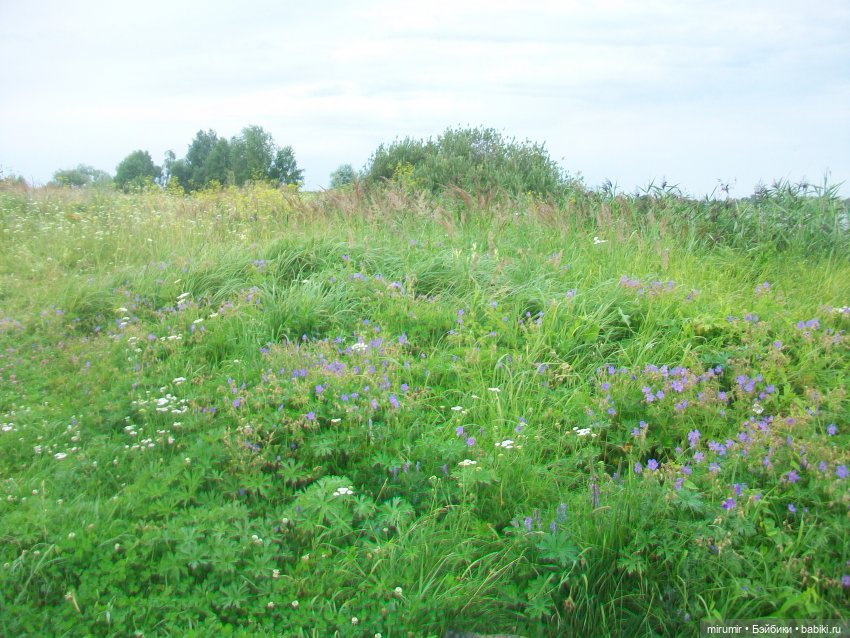 Июльская поездка на дачу — Игровые куклы разных производителей (Разное): редкие бренды